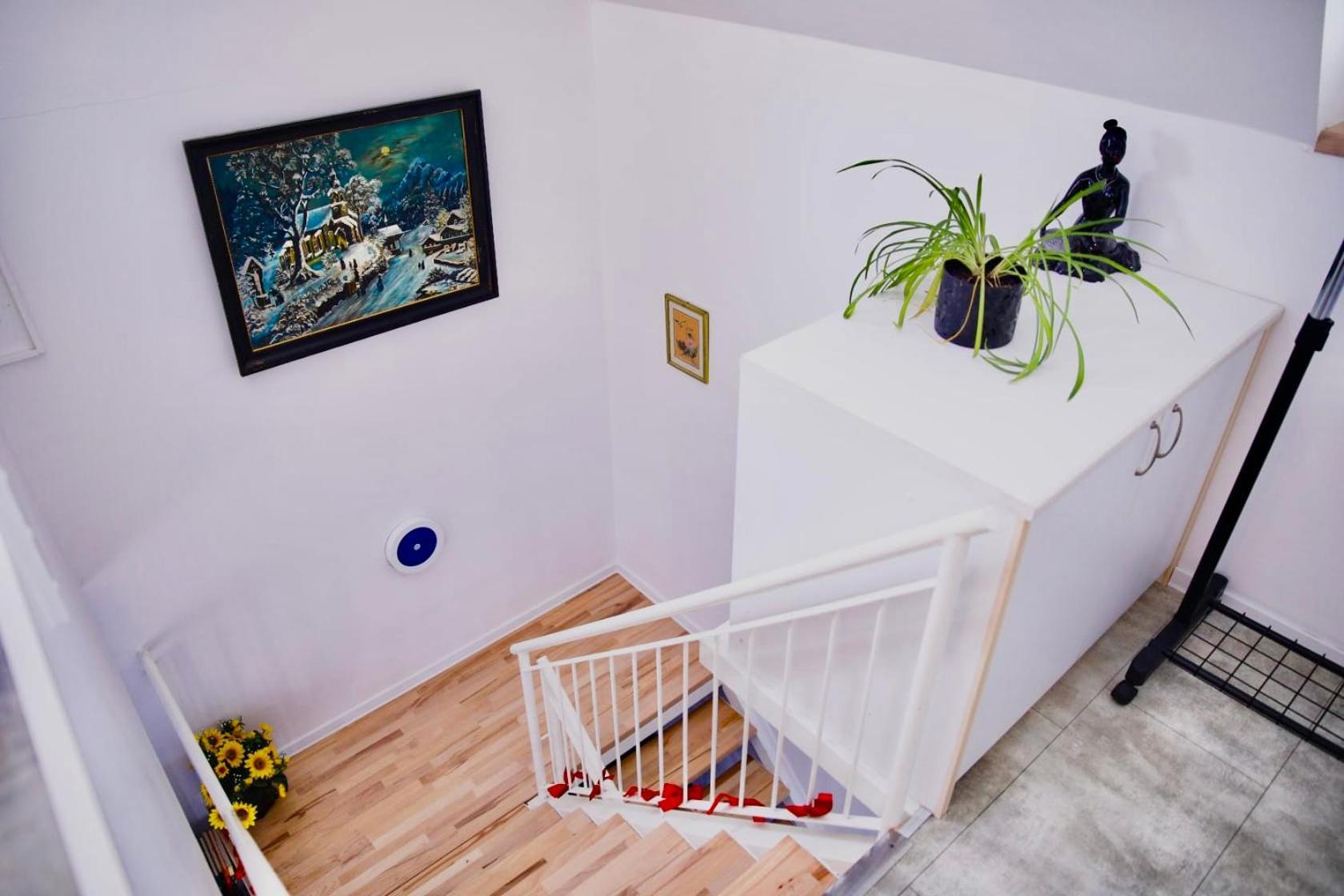 ואראז'דינסקה טופליצה Holiday House Apartments Dajcic מראה חיצוני תמונה